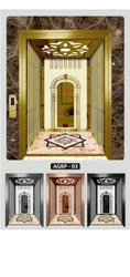stainless-steel-elevator-cabin-250x250